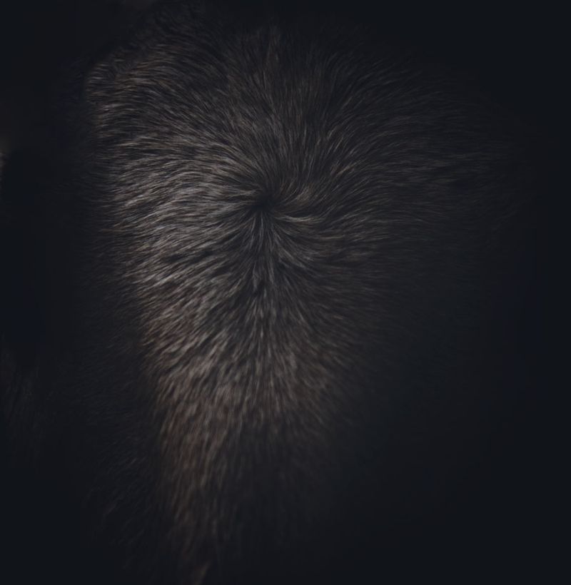 © Carolina Krieger - The desire to fall with eyes wide open