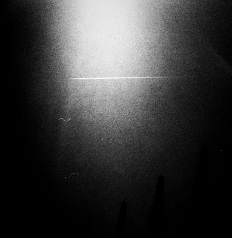 © Carolina Krieger - The desire to fall with eyes wide open