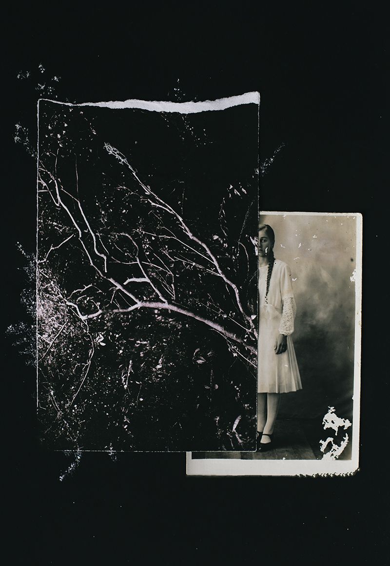 © Carolina Krieger - Image from the Nostalgia for the Glade photography project