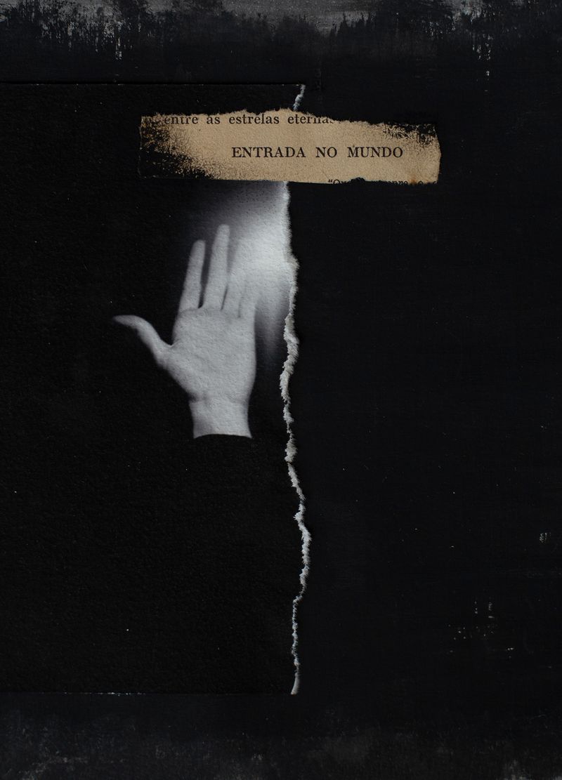 © Carolina Krieger - Image from the Nostalgia for the Glade photography project