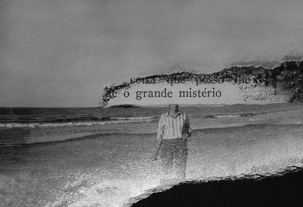 © Carolina Krieger - Nostalgia for the Glade