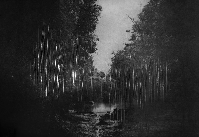 © Carolina Krieger - Image from the Nostalgia for the Glade photography project