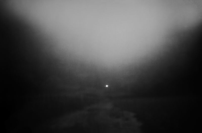 © Carolina Krieger - Image from the Nostalgia for the Glade photography project