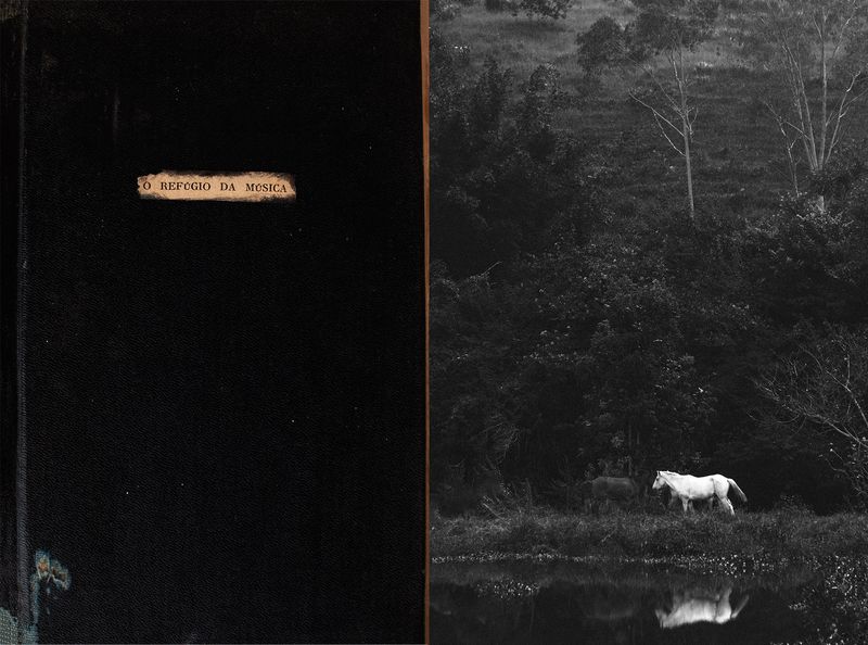 © Carolina Krieger - Image from the Nostalgia for the Glade photography project