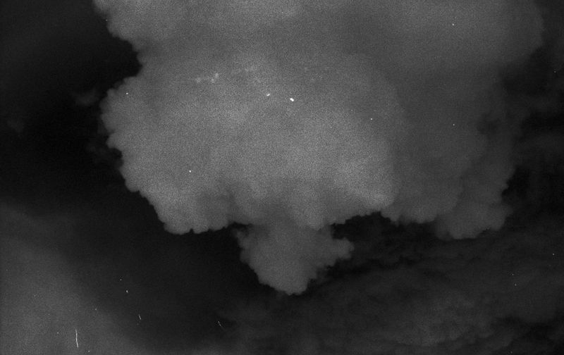 © Carolina Krieger - Image from the Nostalgia for the Glade photography project