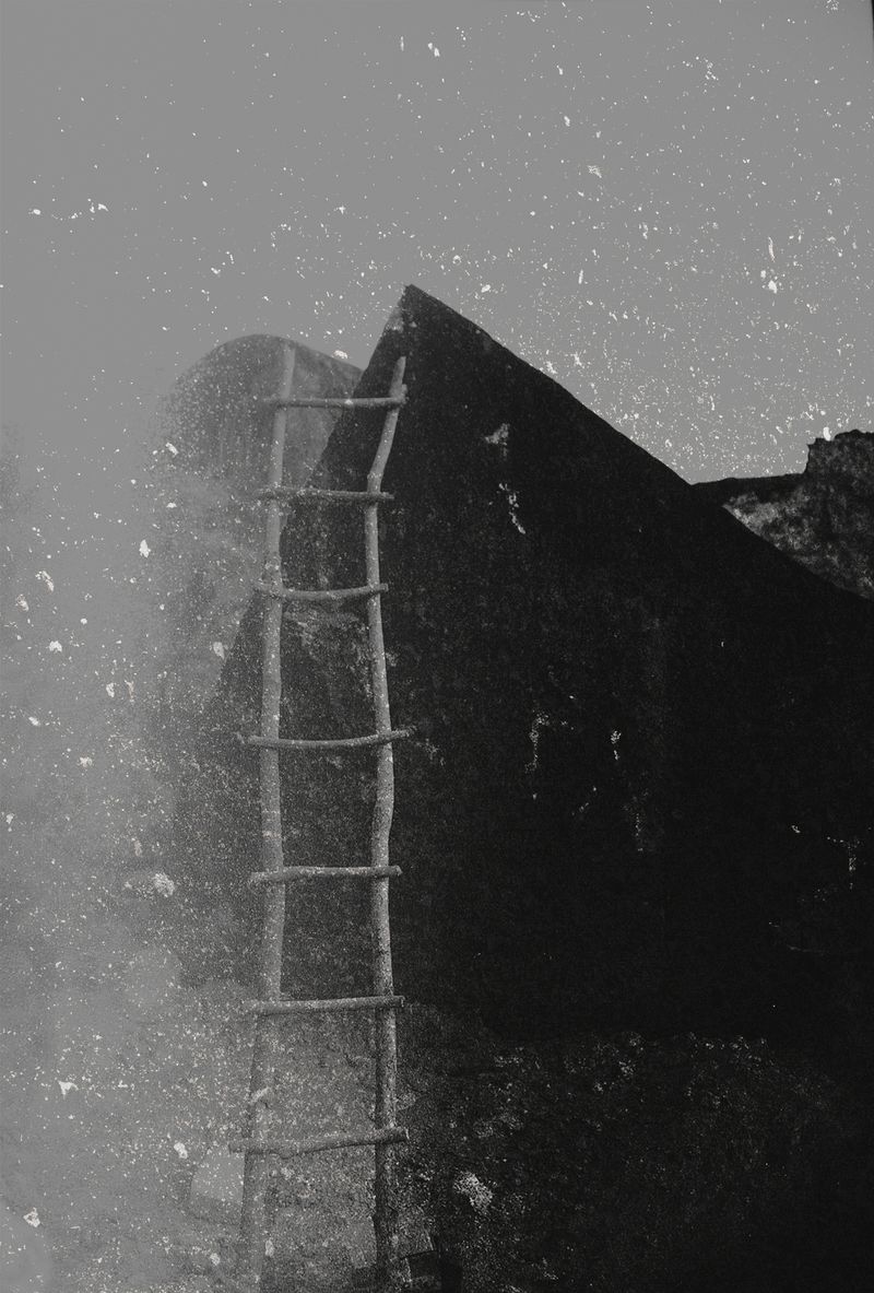 © Carolina Krieger - Image from the Nostalgia for the Glade photography project