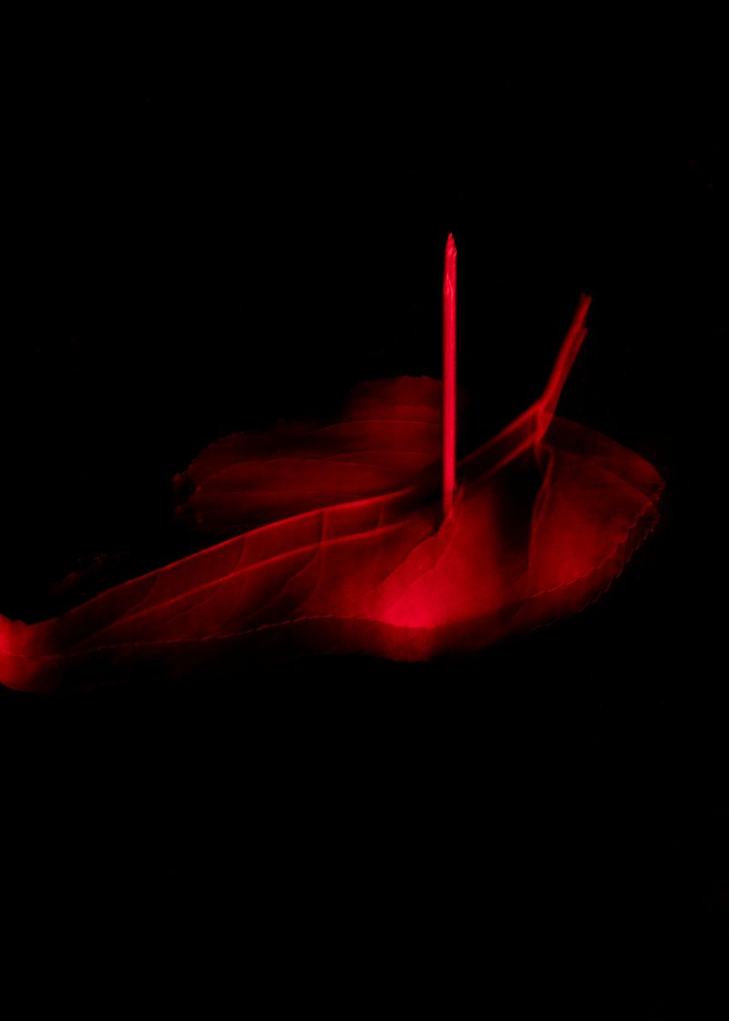 © Sergei Stroitelev - Image from the I wish it was just a nightmare photography project