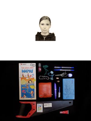 Bermuda Rectangle (the contents of Russian women's bags)