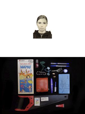 Bermuda Rectangle (the contents of Russian women's bags)