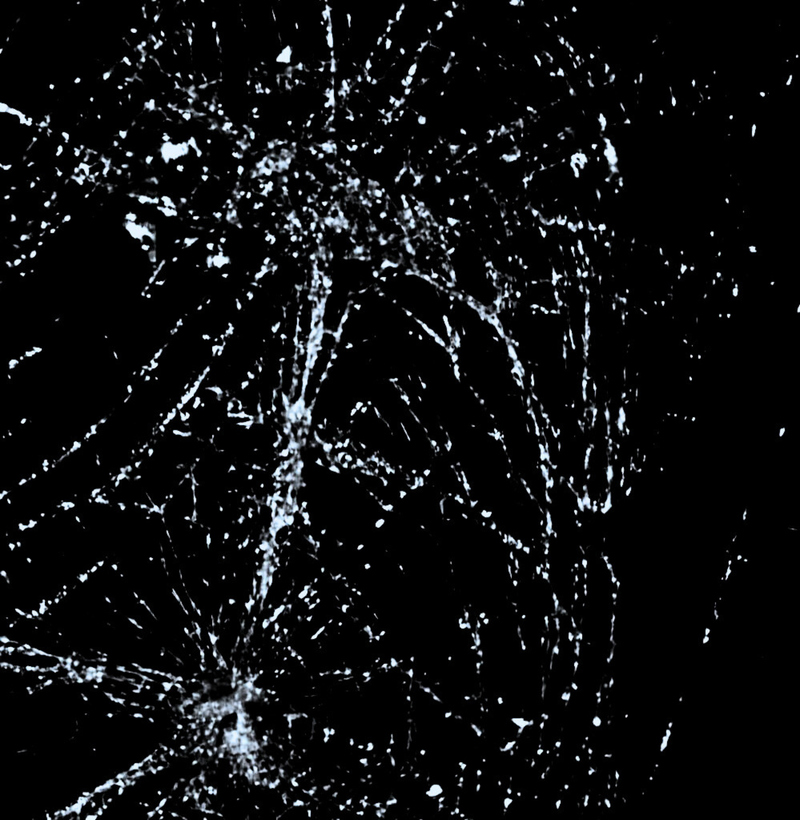 © Anja Musura - SEEING SOUND X, 2024, digital photograph, between Berlin and Toronto