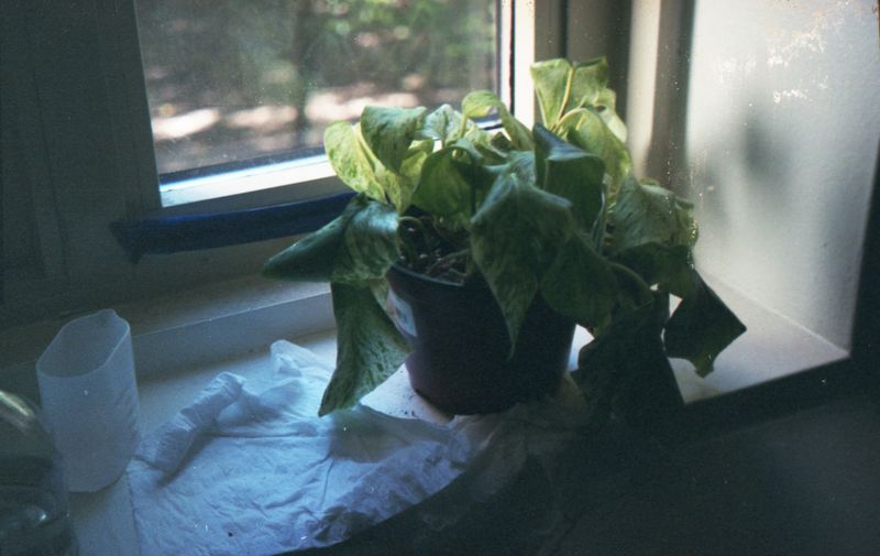 © Esther Zhilin Xiang - Image from the Your Room photography project