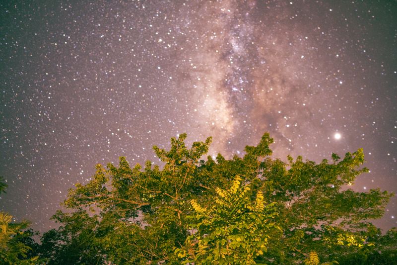 © Chino Romero Hoyos - Image from the JARUPIA photography project