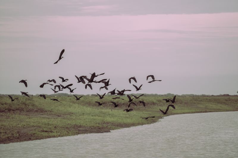 © Chino Romero Hoyos - Image from the JARUPIA photography project