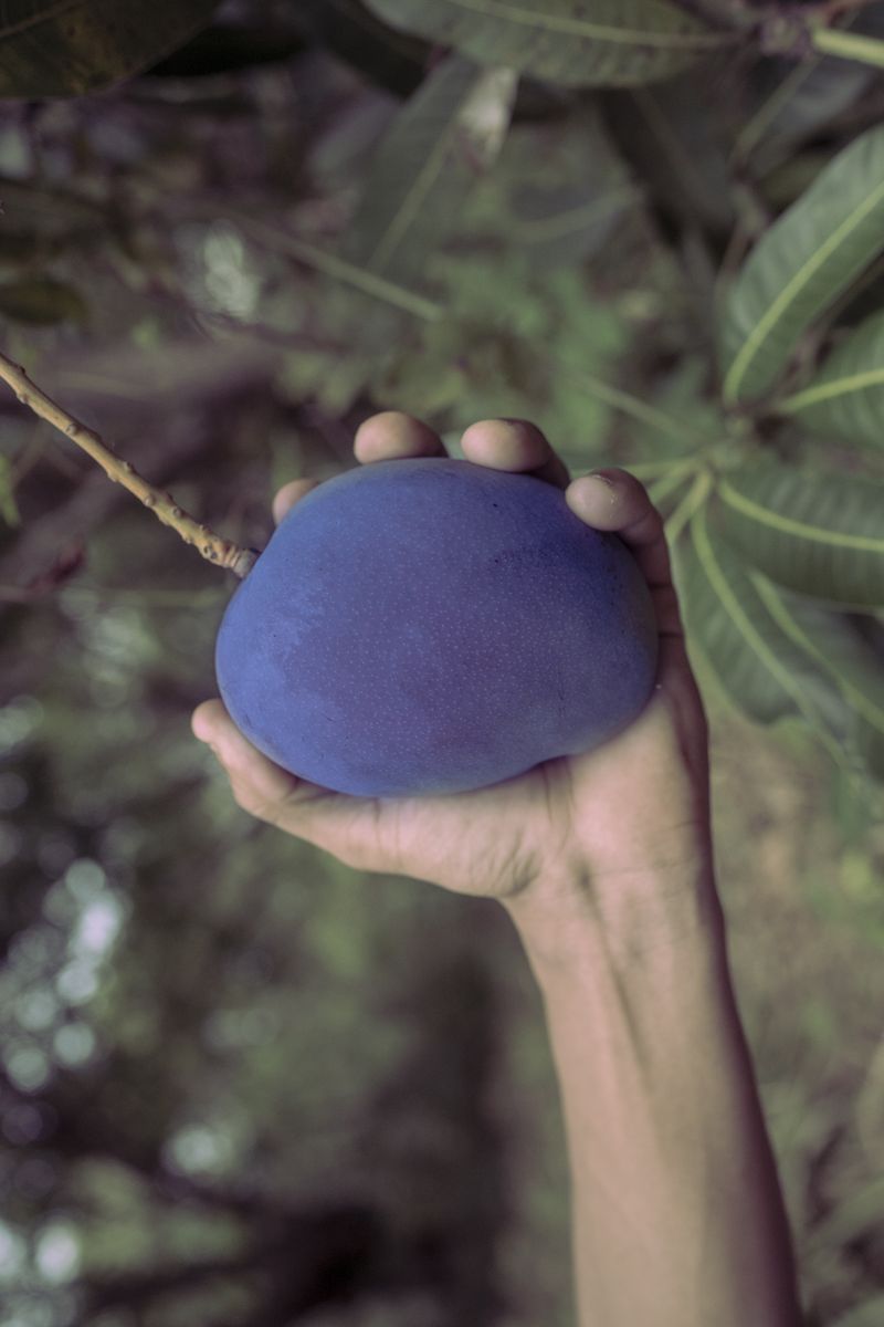 © Chino Romero Hoyos - Image from the JARUPIA photography project