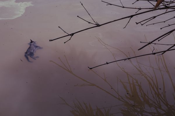 © Chino Romero Hoyos - Image from the JARUPIA photography project