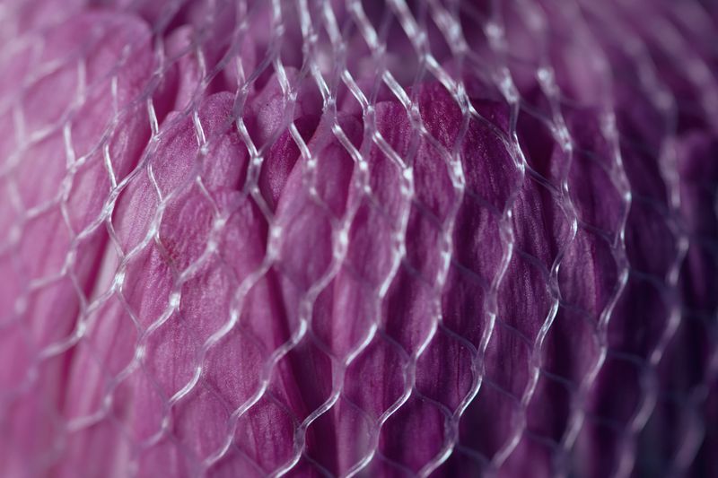 © Kate Kuklinski - Image from the the distance within photography project