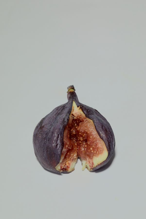 © Kate Kuklinski - Image from the the distance within photography project