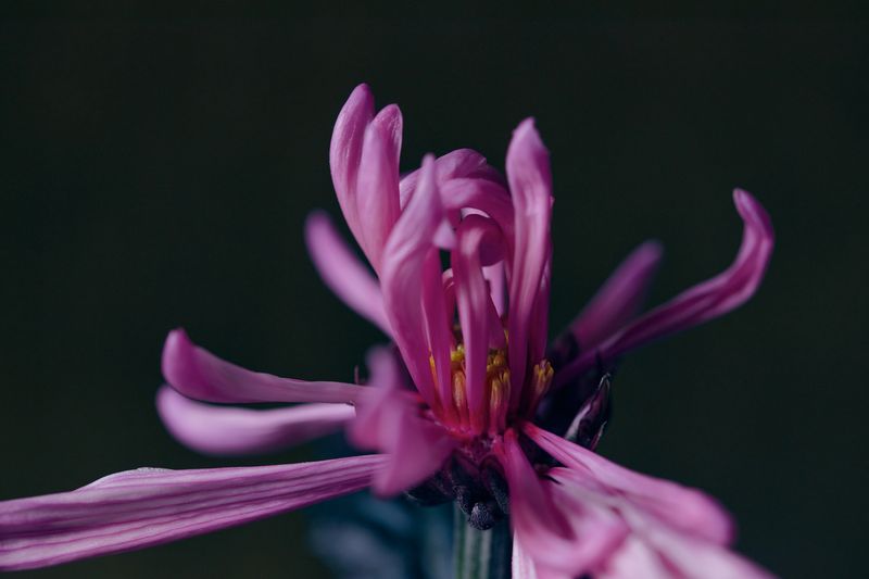 © Kate Kuklinski - Image from the the distance within photography project