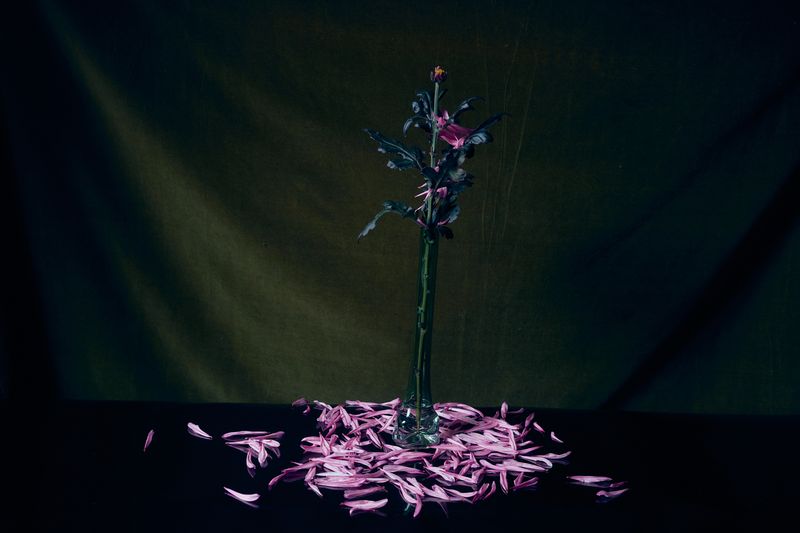 © Kate Kuklinski - Image from the the distance within photography project