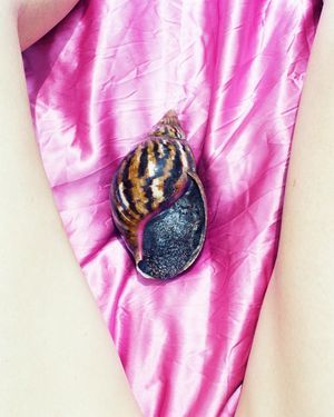 Butterflies are sign of good thing