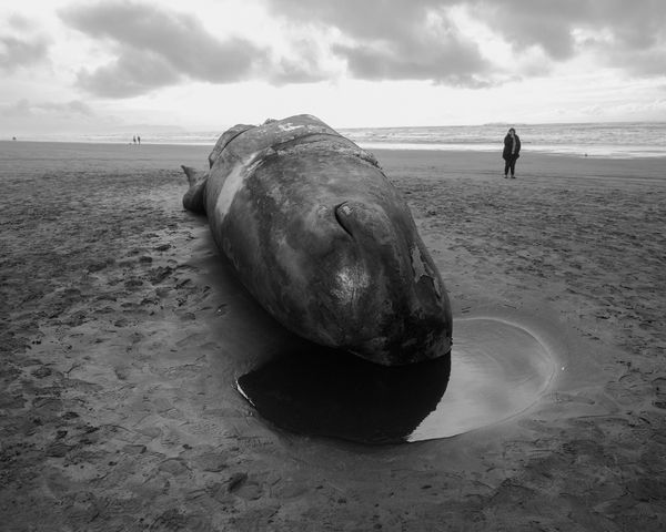 © Brian Lau - Image from the We're Just Here For The Bad Guys photography project