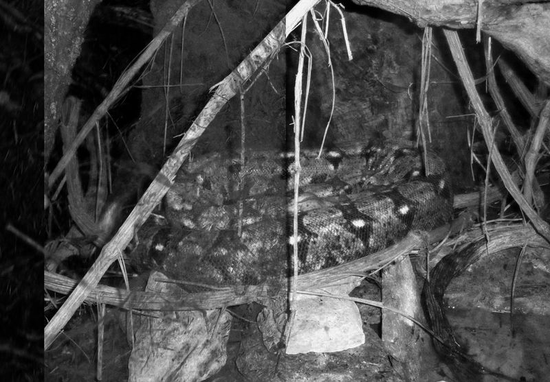 © Lina A - Image from the RAM: Random Acess Memory photography project