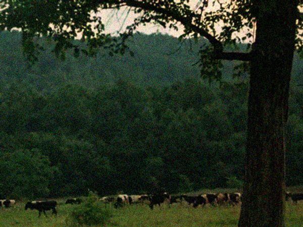 © Lina A - Image from the Unrequited Land photography project