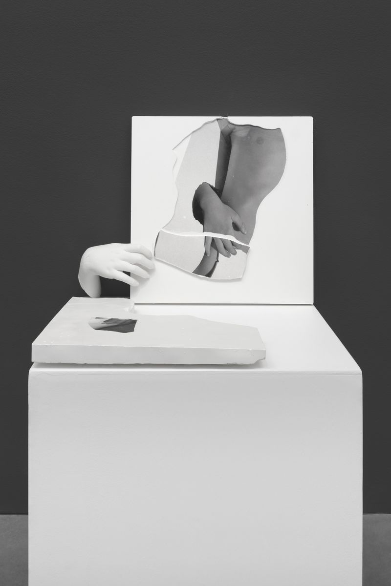 © Vanessa Woods - Lucana #7, Plaster Sculptures with Photographic Emulsion Transfer, Cast Hand, Pedestal, 2024