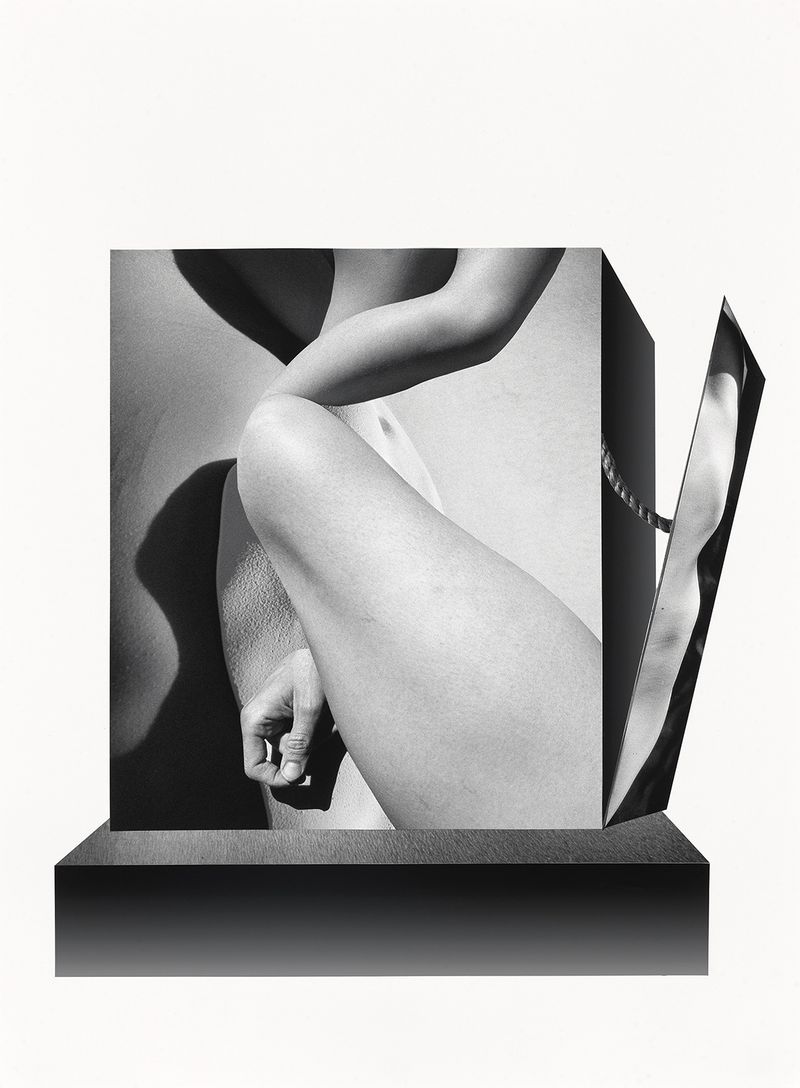 © Vanessa Woods - Open, Unique Collage from Original Photographs 30 x 22 inches, 2024