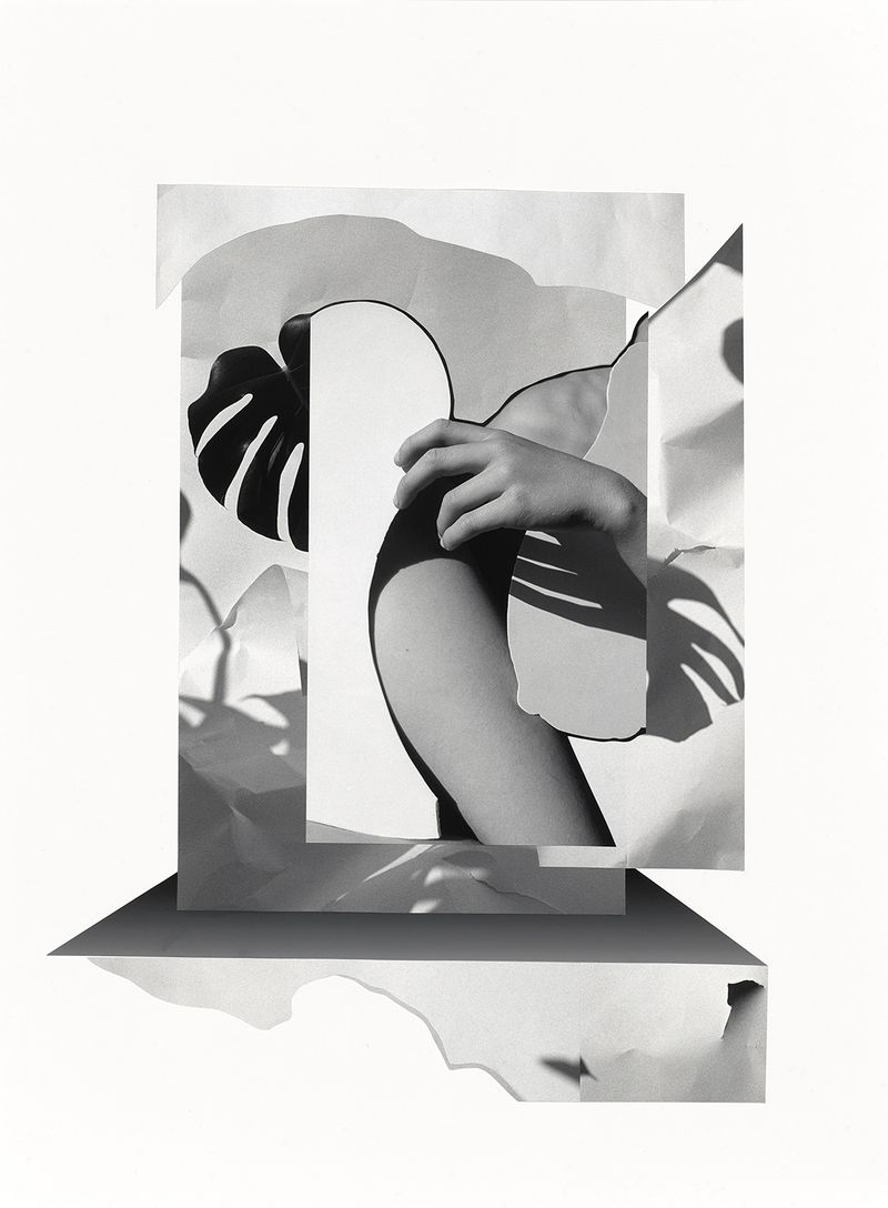 © Vanessa Woods - Molt, Unique Collage from Original Photographs 30 x 22 inches, 2024