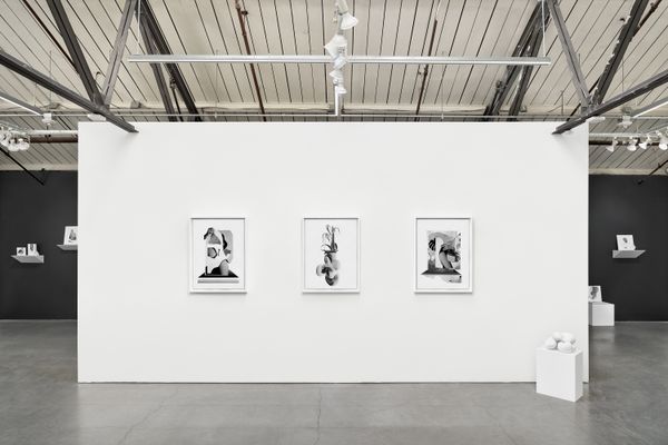 © Vanessa Woods - Installation View of Lacuna, Jack Fischer Gallery, San Francisco, July, 2024, Photo by John Janca