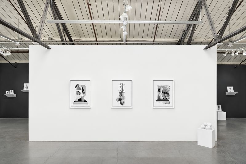 © Vanessa Woods - Installation View of Lacuna, Jack Fischer Gallery, San Francisco, July, 2024, Photo by John Janca