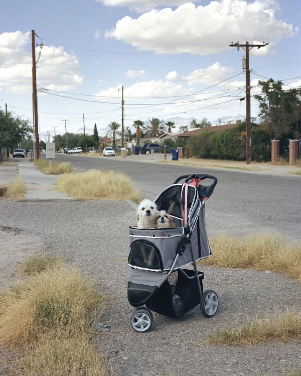 © Jordan Putt - Morris Blvd, 2017