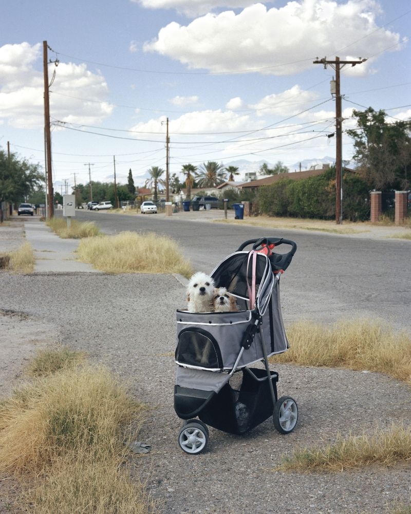 © Jordan Putt - Morris Blvd, 2017