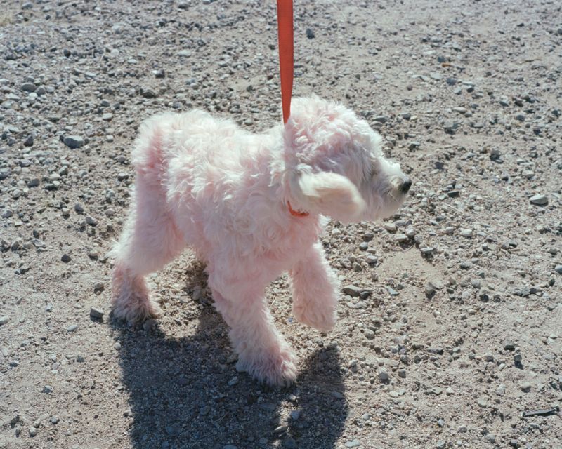 © Jordan Putt - Precious, 2017