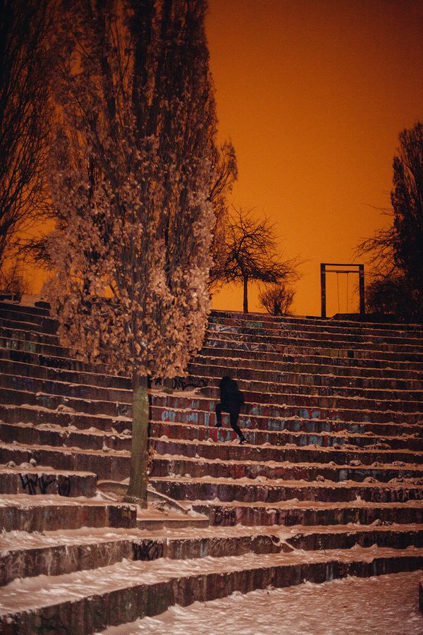 © Sonja Stadelmaier - Image from the Dandelion photography project