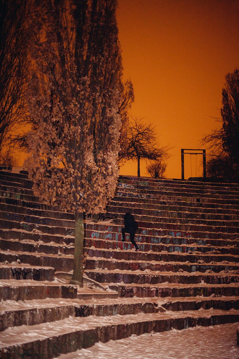 © Sonja Stadelmaier - Image from the Dandelion photography project