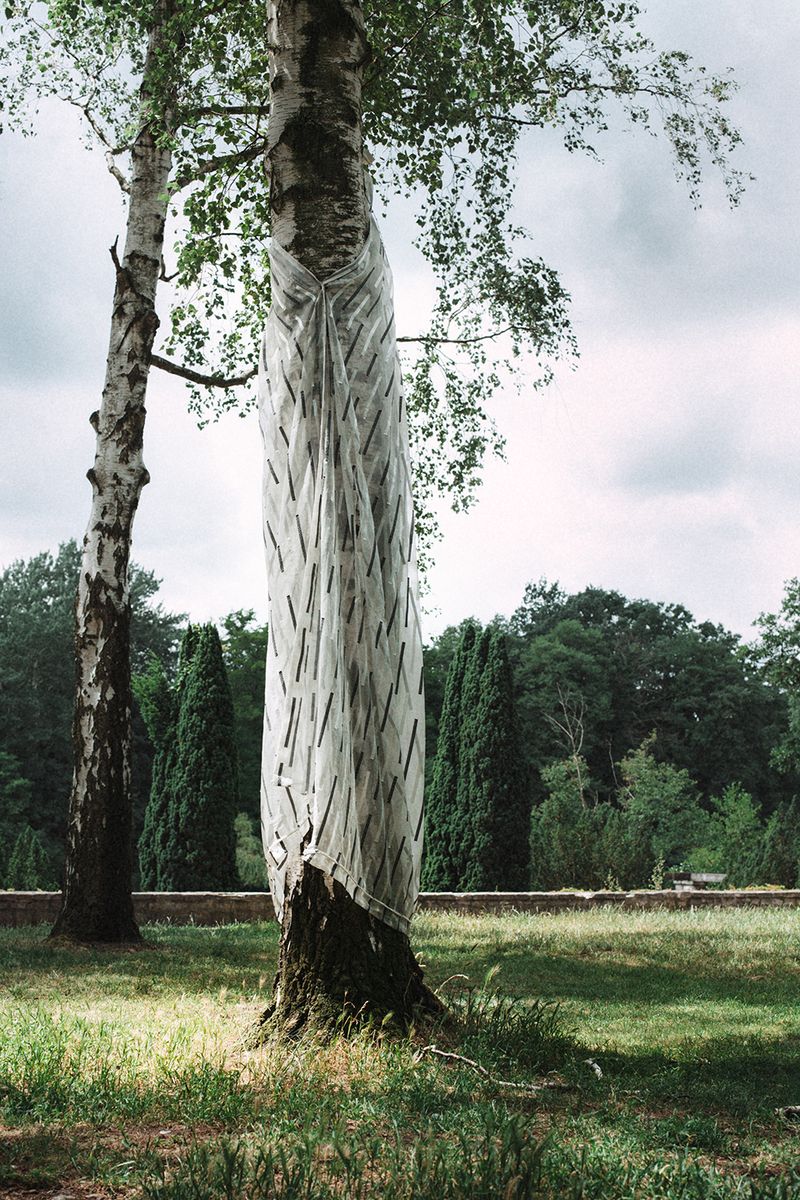 © Sonja Stadelmaier - Image from the Dandelion photography project