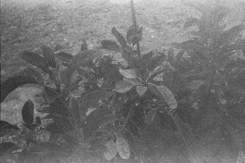 © Shira Bar - Image from the A Photograph Is A Chance photography project