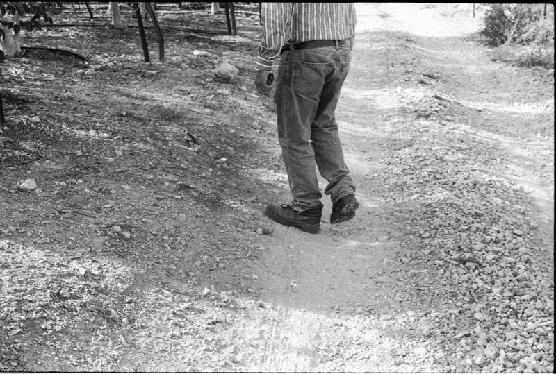 © Shira Bar - Image from the A Photograph Is A Chance photography project