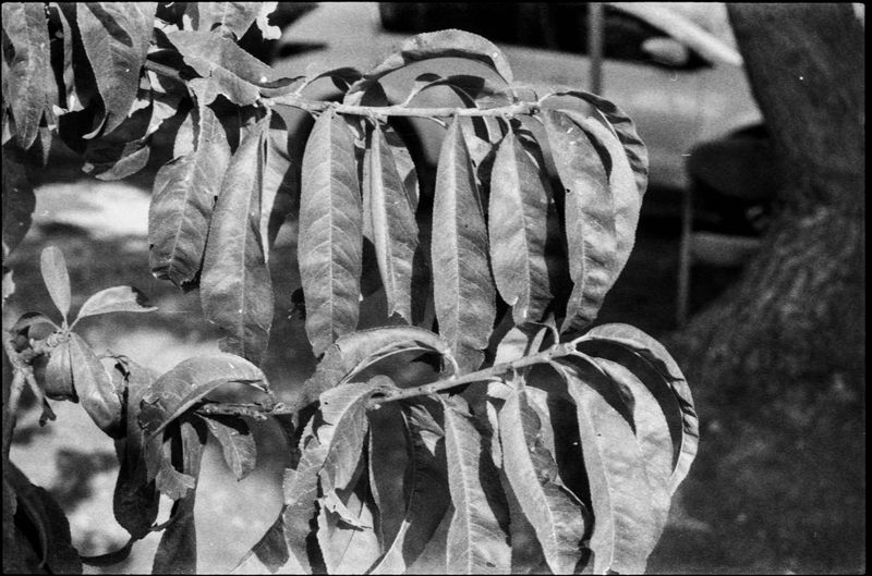 © Shira Bar - Image from the A Photograph Is A Chance photography project