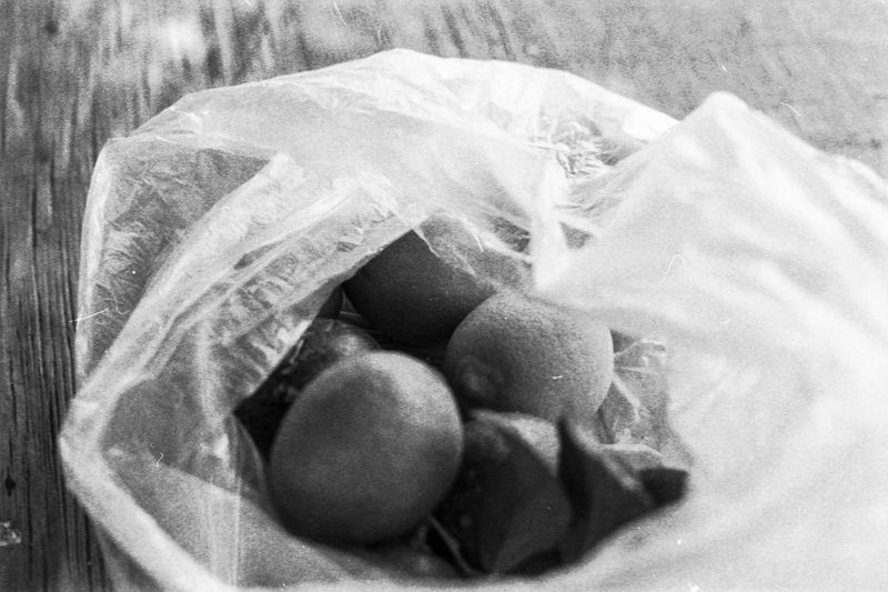 © Shira Bar - Image from the A Photograph Is A Chance photography project