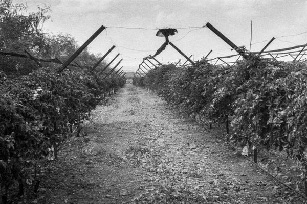 © Shira Bar - Image from the A Photograph Is A Chance photography project