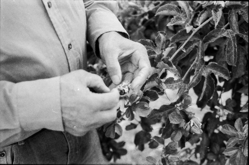 © Shira Bar - Image from the A Photograph Is A Chance photography project