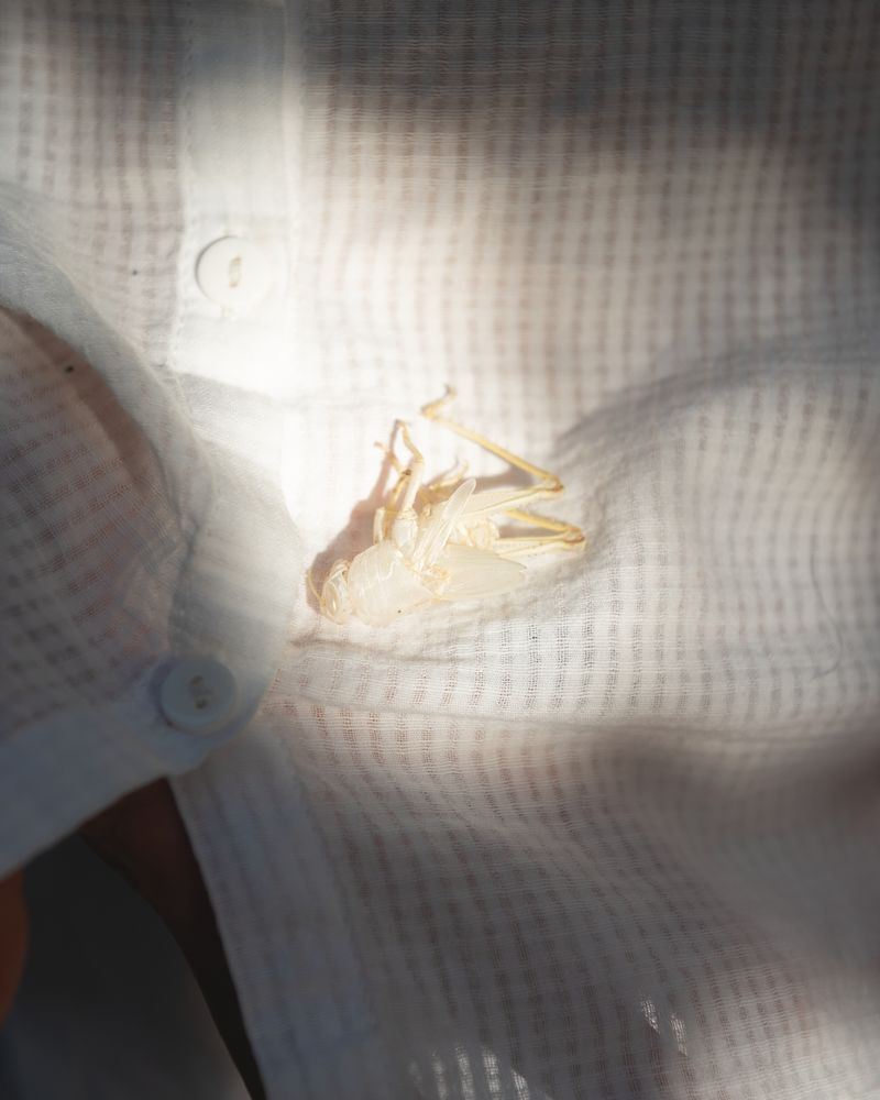 © Maria Siorba - Image from the Blank Verse photography project