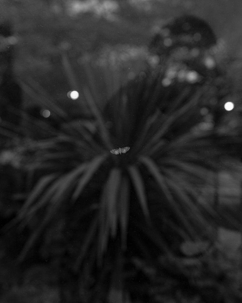 © Maria Siorba - Image from the Blank Verse photography project