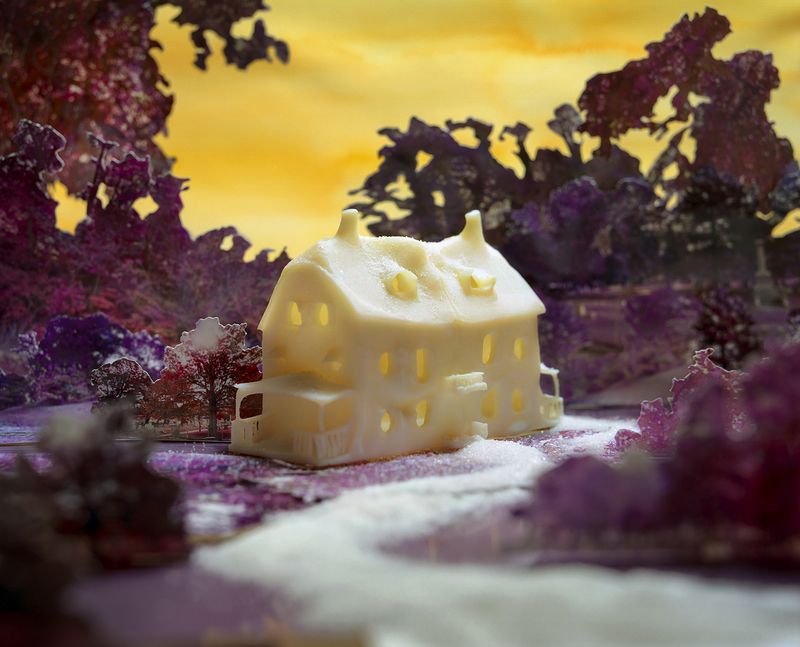 © Laura Konttinen - "The House", 2019