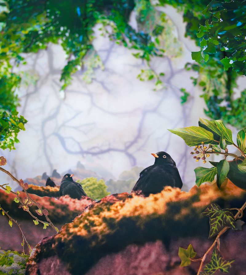 © Laura Konttinen - "Blackbirds", 2019 Cemetery triptych 3/3