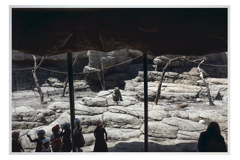 © Marilia Vieira - Image from the VIEIRA, Apt 1010 photography project