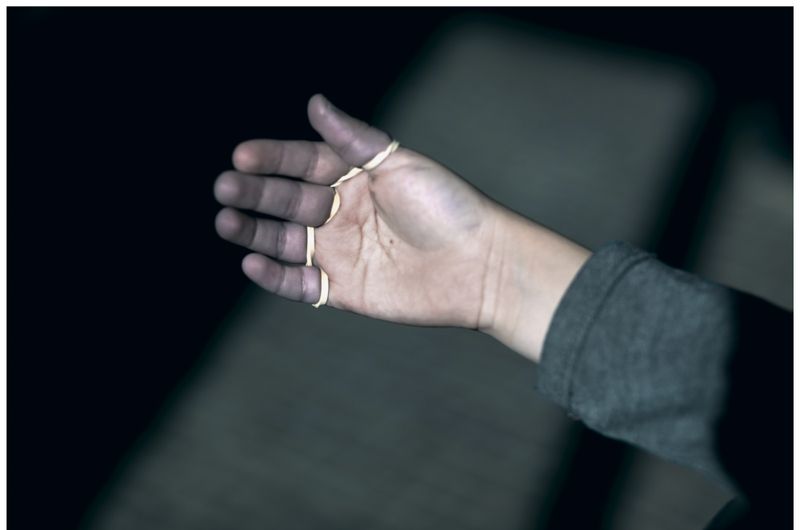 © Marilia Vieira - 'Parts and Whole', (2020)